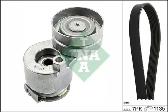 Σετ ιμάντων poly-V RENAULT CLIO 2006 - 2009 INA 529 0283 10