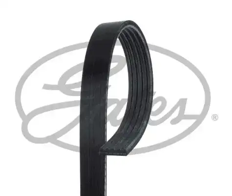 Ιμάντας poly-V ALFA ROMEO MITO 2008 - 2013 GATES 5PK1165XS