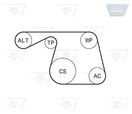 Σετ ιμάντων poly-V FORD KA 2008 - 2016 ( RU8 ) OPTIBELT 6 PK 1310KT1