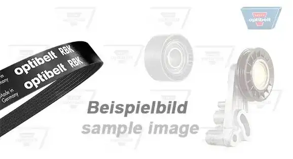 Σετ ιμάντων poly-V PEUGEOT 306 1993 - 1996 ( N3 ) OPTIBELT 6 PK 1740KT3