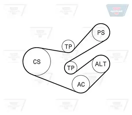 Σετ ιμάντων poly-V PEUGEOT 306 1993 - 1996 ( N3 ) OPTIBELT 6 PK 1750KT2
