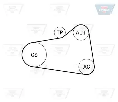 Σετ ιμάντων poly-V PEUGEOT 207 2006 - 2009 OPTIBELT 6 PK 906KT1