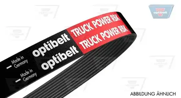 Ιμάντας poly-V VW PASSAT 2000 - 2005 ( 3B3 ) OPTIBELT 8
