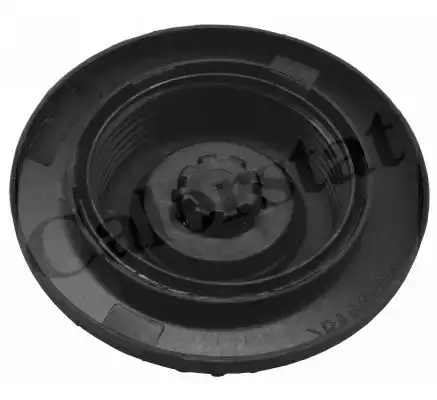 Δοχείο Διαστολής Νερού MERCEDES M-CLASS 1998 - 2002 ( W163 ) CALORSTAT by Vernet RC0189