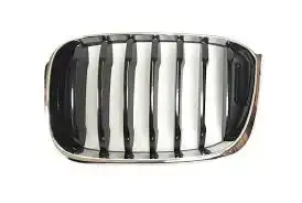 Καρδιά Μάσκας BMW X3 SUV/ ΕΚΤΟΣ ΔΡΟΜΟΥ/ 5dr  2017 - ( G01) sDrive 18 d  ( B47 D20 A  ) (150 hp ) Πετρέλαιο #153204632