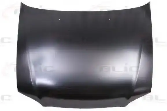 Καπό HYUNDAI ACCENT Hatchback / 5dr 1997 - 1999 ( UA ) ( X3 ) 1.3  ( G4EH  ) (60 hp ) Βενζίνη #069600070