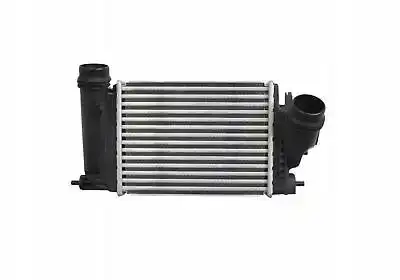 Ψυγείο Intercooler RENAULT MEGANE Sedan / 4dr 2015 - 1.6 dCi 130  (   ) (130 hp ) Πετρέλαιο #673606200