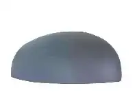 Καπάκι Καθρέφτη SKODA FABIA Hatchback / 5dr 2007 - 2011 1.2  ( BBM,CHFA  ) (60 hp ) Βενζίνη #066607701