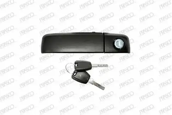 Χερούλι Πόρτας  FIAT PANDA Hatchback / 5dr 2003 - 2009 ( 169 ) 1.1  ( 187 A1.000  ) (54 hp ) Βενζίνη #040007844