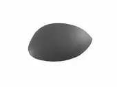 Καπάκι Καθρέφτη CITROEN XSARA PICASSO MPV / ΠΟΛΥΜΟΡΦΙΚΑ / 5dr 1999 - 2004 ( N68 ) 1.6  ( NFZ (TU5JP)  ) (88 hp ) Βενζίνη #064007712