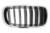 Καρδιά Μάσκας BMW X5 SUV/ ΕΚΤΟΣ ΔΡΟΜΟΥ / 5dr 2014 - 2018 ( F15 ) M  ( S63 B44 B  ) (575 hp ) Βενζίνη #151104631