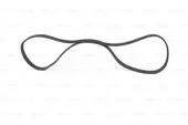 Ιμάντας poly-V NISSAN ALMERA 1995 - 1998 ( N15 ) BOSCH 1 987 946 000