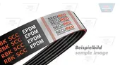 Ιμάντας poly-V TOYOTA …
