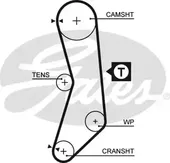 Οδοντωτός ιμάντας FIAT …