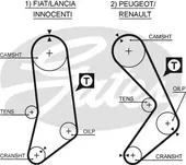 Οδοντωτός ιμάντας FIAT …