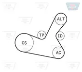 Σετ ιμάντων poly-V VW PASSAT 2000 - 2005 ( 3B3 ) OPTIBELT 5 PK 1300KT1