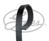 Ιμάντας poly-V FORD …
