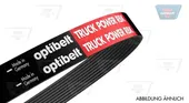 Ιμάντας poly-V NISSAN PRIMERA 2002 - 2007 ( P12 ) OPTIBELT 8