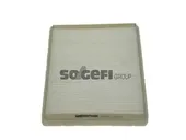 Φίλτρο αέρα εσωτερικού χώρου RENAULT MEGANE 1996 - 1998 CoopersFiaam PC8102