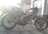 Yamaha TZR 50-125-150-250 …