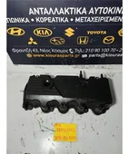 ΨΕΥΤΟΚΑΠΑΚΟ - ΚΑΛΥΜΜΑ … thumbnail