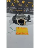ΠΕΤΑΛΟΥΔΑ ΓΚΑΖΙΟΥ HYUNDAI … thumbnail