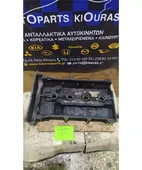 ΨΕΥΤΟΚΑΠΑΚΟ - ΚΑΛΥΜΜΑ … thumbnail