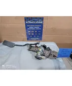 ΠΕΤΑΛΙ ΓΚΑΖΙΟΥ ΗΛΕΚΤΡΙΚΟ …