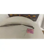 ΜΠΡΑΤΣΑ ΥΑΛΟΚΑΘΑΡΙΣΤΗΡΩΝ SUBARU … thumbnail