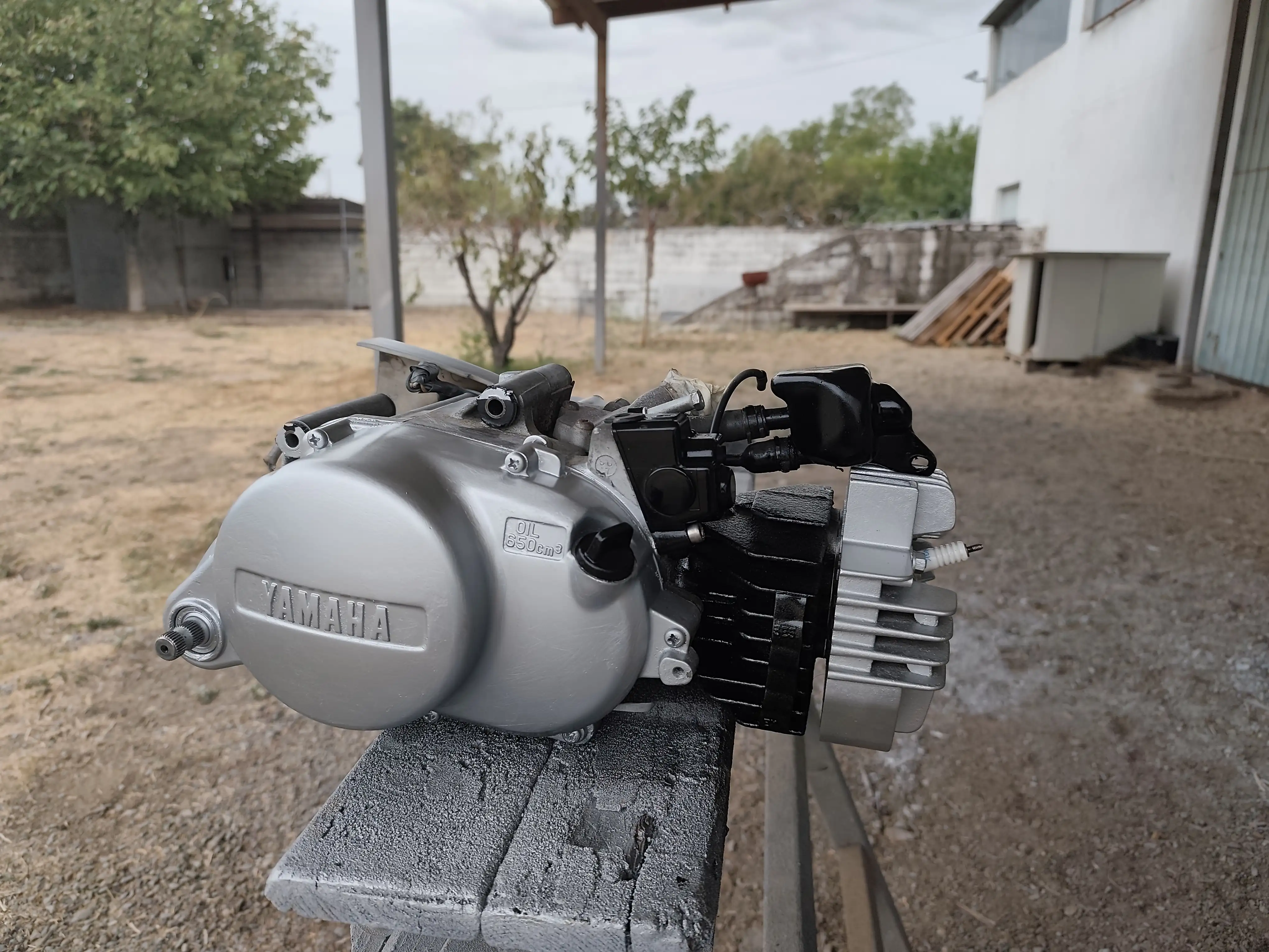 Yamaha v80 mate …