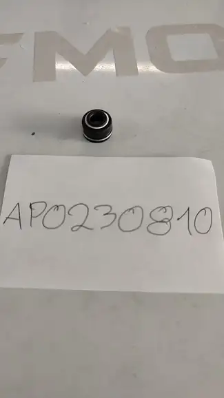 ΤΣΙΜΟΥΧΑ ΒΑΛΒΙΔΑΣ ΡΟΠΗΣ …