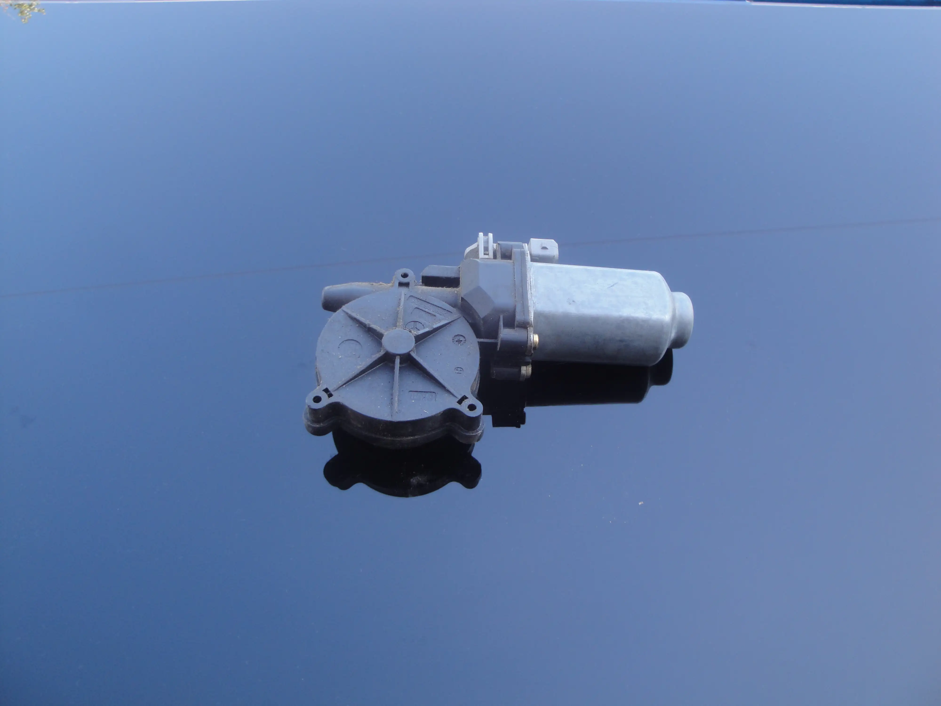 Μοτέρ Γρύλου Παραθύρου …