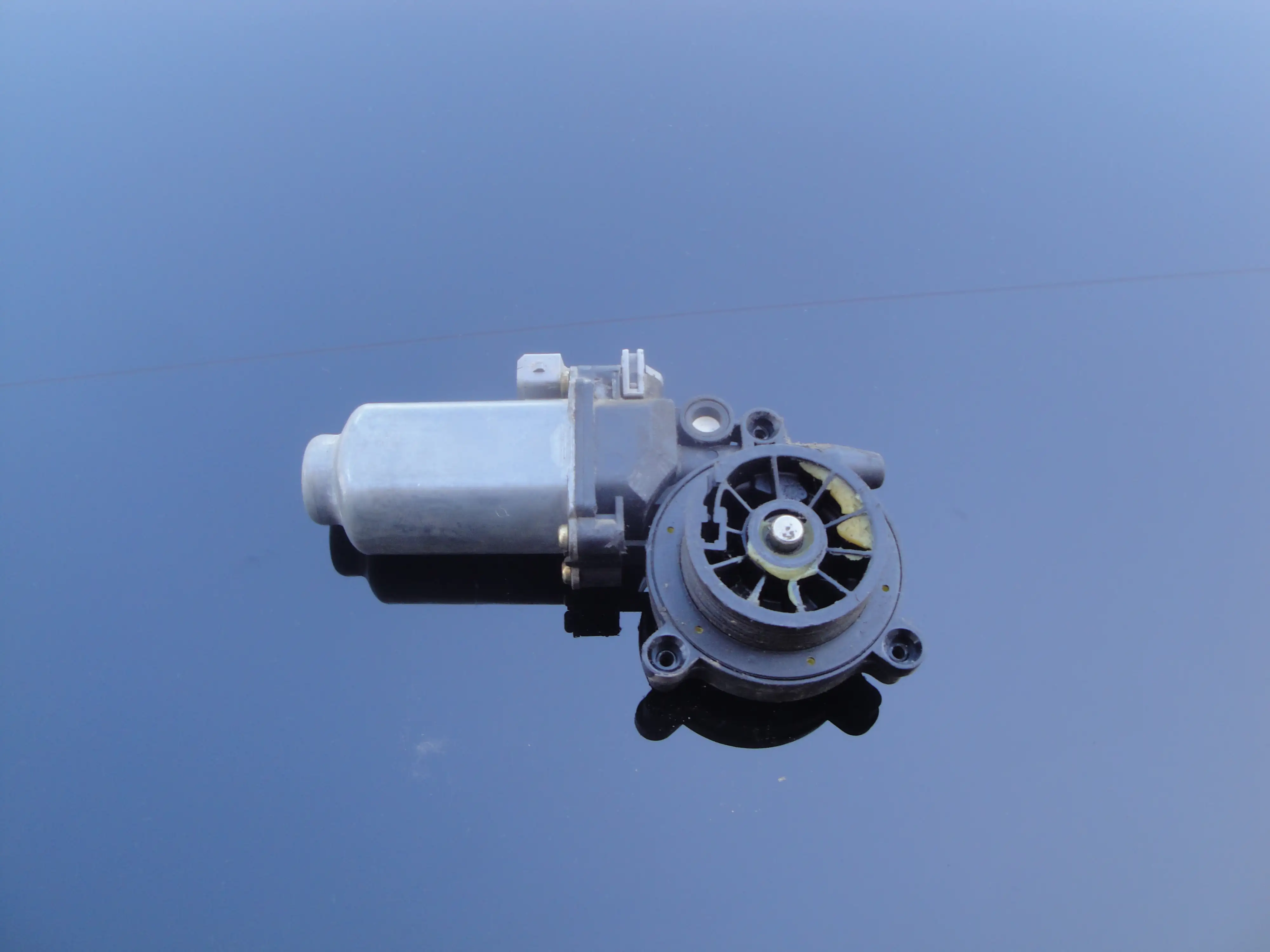 Μοτέρ Γρύλου Παραθύρου …