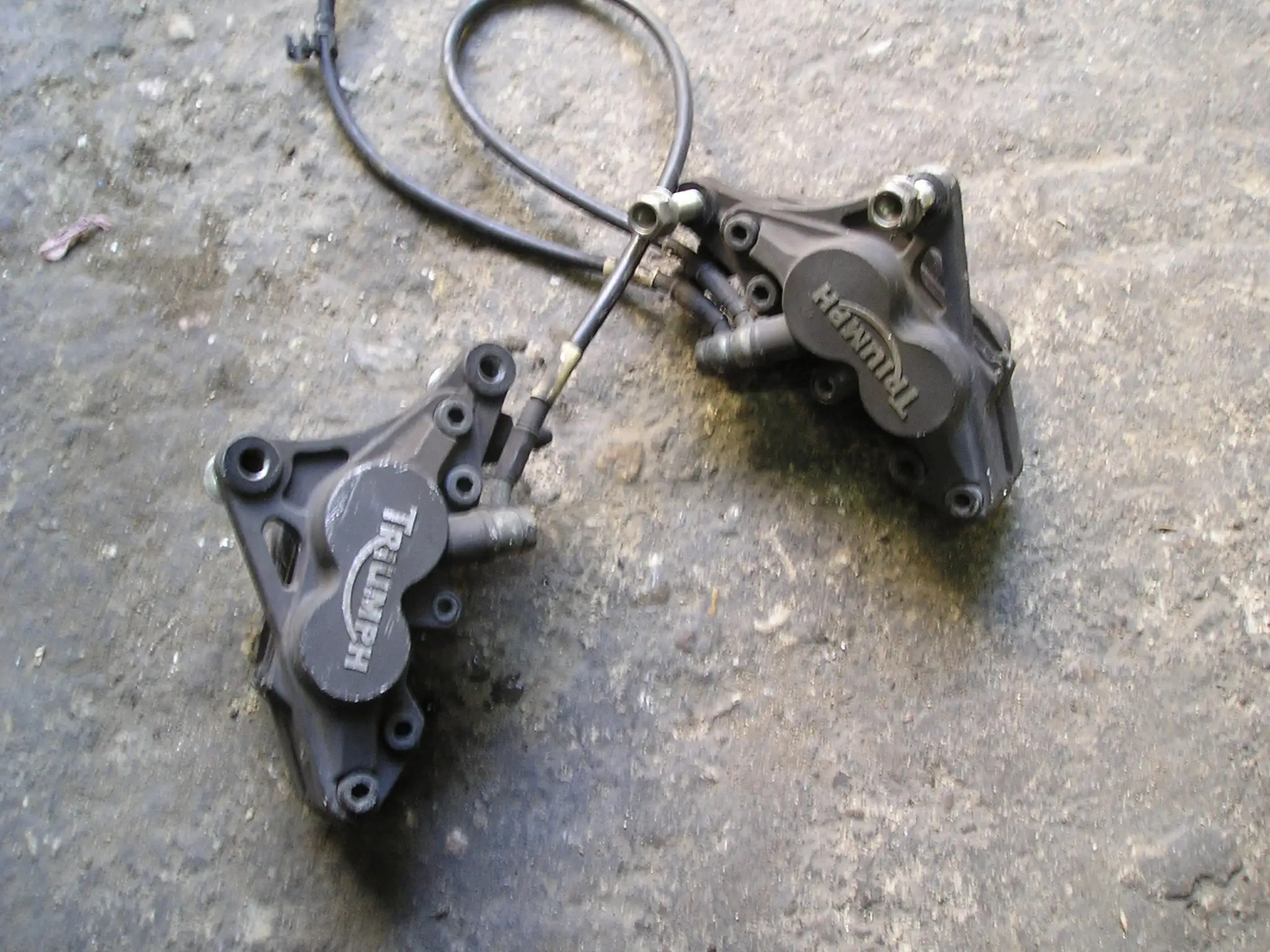 ΔΑΓΚΑΝΕΣ ΜΠΡΟΣΤΑ ΚΟΜΠΛΕ …