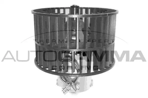 Ανεμιστήρας Καλοριφέρ Εσω …