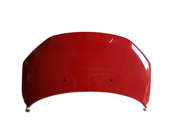 Καπό SUZUKI IGNIS …