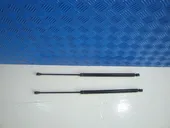 Αμορτισέρ Καπό Citroen …