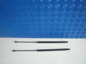 Αμορτισέρ Καπό Citroen …