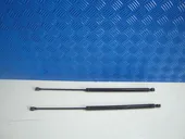 Αμορτισέρ Καπό Citroen …