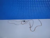 Πιστιλιστηρια Εμπρος Citroen …