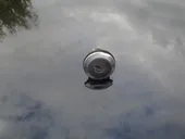 Αφαλος Πορτών Citroen …