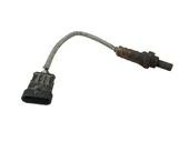 Αισθητήρες Λ (λάμδα) …