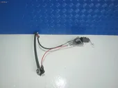 Γρυλλος Παραθυρου Εμπρος …