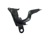 Μεντεσές Καπό RENAULT …