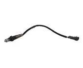 Αισθητήρες Λ (λάμδα) …