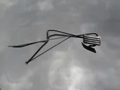 Πενταλ Γκαζιου Citroen …