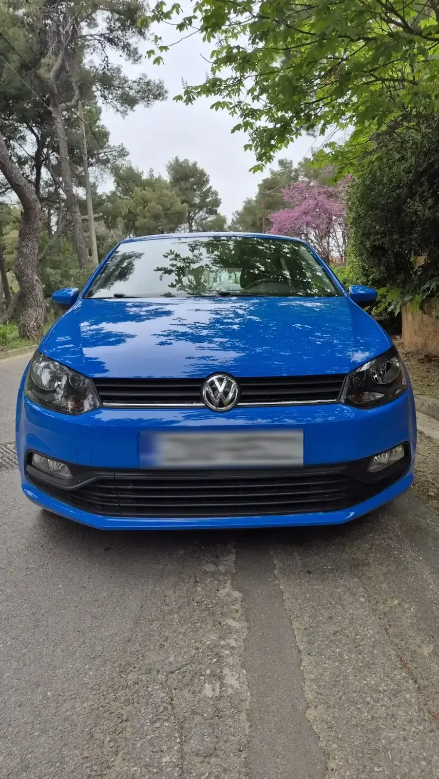 Volkswagen Polo TDI BLUEMOTION '14