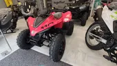 CFMoto CFORCE 110 '26