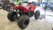 CFMoto CFORCE 110 '26