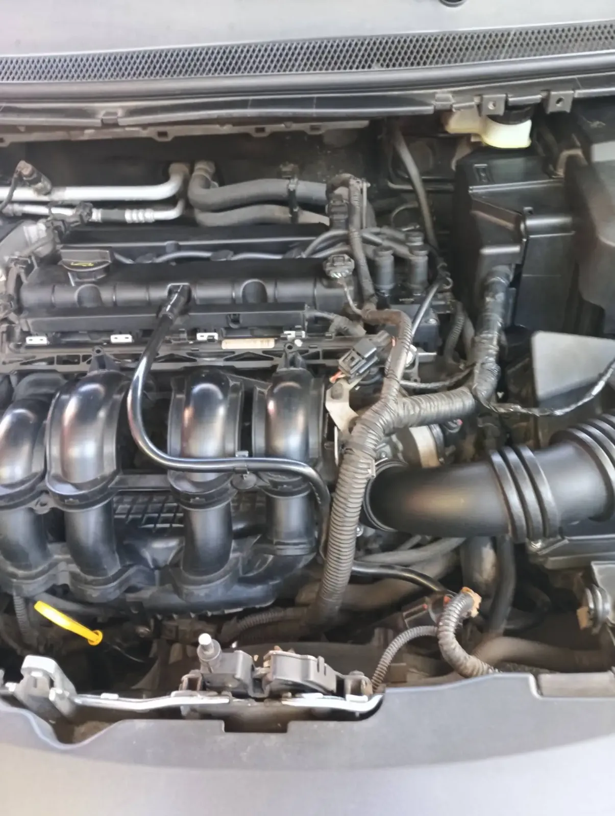 Ford Focus GHIA 1,6 FULL …
